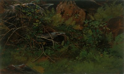 Studio dalla natura da William Stanley Haseltine