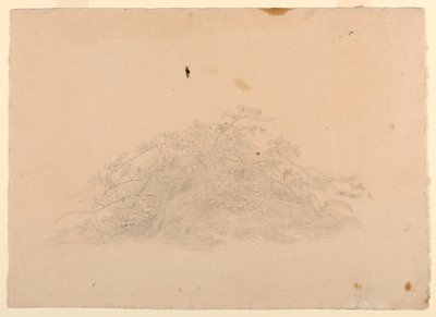 Studio del fogliame da William Stanley Haseltine