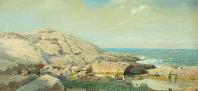 La costa del Maine al tramonto da William Stanley Haseltine
