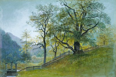 Vahrn in Tirolo vicino a Bressanone da William Stanley Haseltine