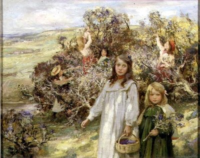 Raccolta di more da William Stewart MacGeorge