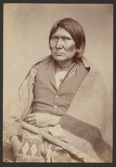 Capo Comanche a cavallo [Tuh-huh-yet, Nau-qua-hip, Champion Rider]. da William Stinson Soule