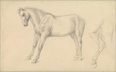 Studi di un Pony da William Strutt