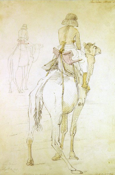 Studio di un uomo su un cammello da William Strutt
