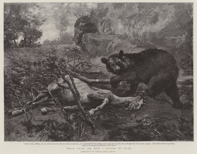 Che fortuna! o, come ho ucciso il mio orso da William Strutt