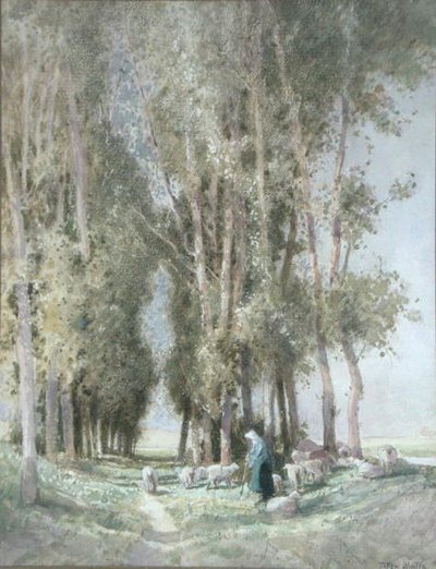 Una pastorella e il suo gregge, Olanda da William Tatton Winter