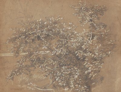 Fogliame da William Trost Richards
