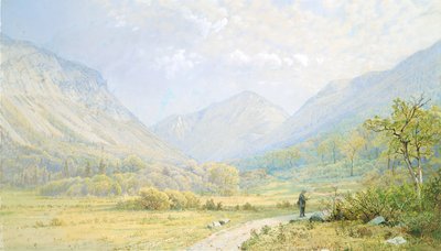 Franconia Notch, New Hampshire da William Trost Richards