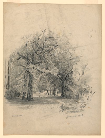 Paesaggio, Darmstadt, Germania da William Trost Richards