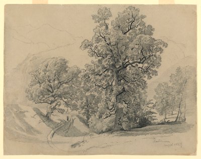 Paesaggio, Lauterbrunnen, Svizzera da William Trost Richards