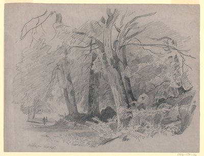 Paesaggio, Meiringen, Svizzera da William Trost Richards