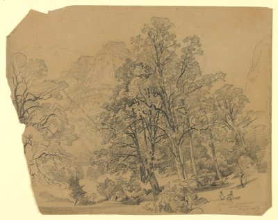 Paesaggio, Silberhorn, Lauterbrunnen, Svizzera da William Trost Richards