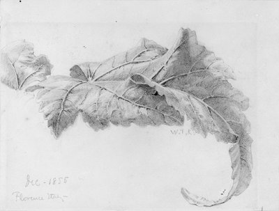  da William Trost Richards