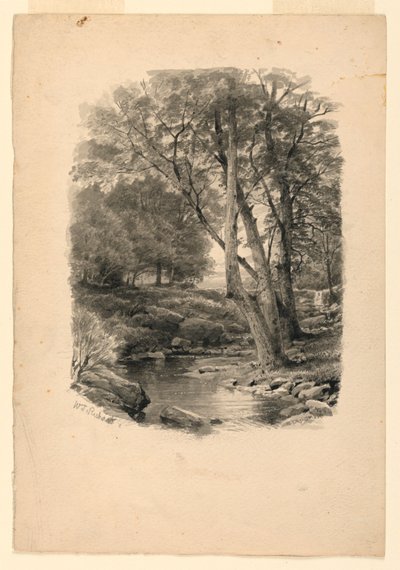 Piscina nel bosco da William Trost Richards