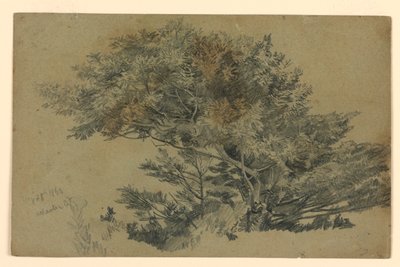 Studio di fogliame da William Trost Richards
