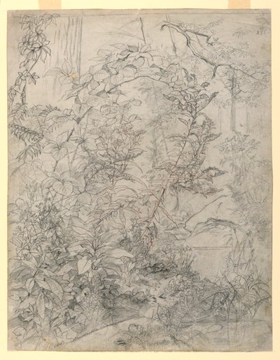 Studio di Foliage da William Trost Richards
