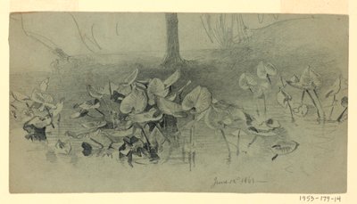 Studio del fogliame da William Trost Richards