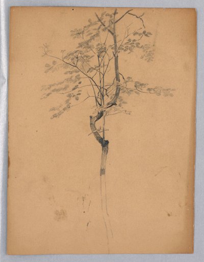 Studio di Foliage da William Trost Richards