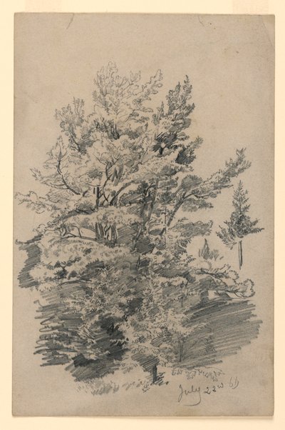 Studio di fogliame da William Trost Richards