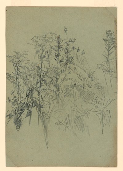 Studio di fogliame da William Trost Richards