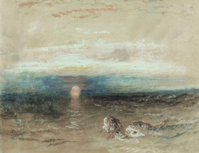 Tramonto sul mare con gallinelle da Joseph Mallord William Turner