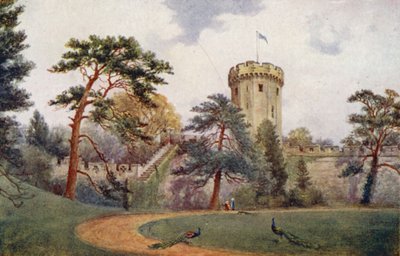 Castello di Warwick: Torre di Guy (litografia a colori) da William W. Quatremain