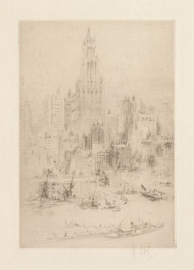 Downtown Manhattan dall