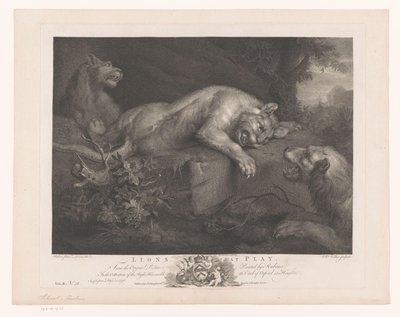 Tre leoni che giocano da William Walker