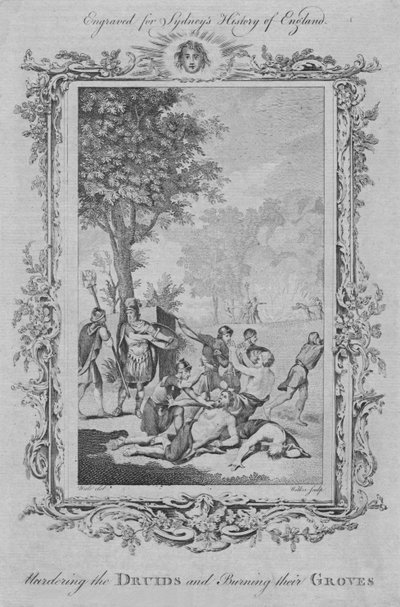 Uccisione dei druidi e bruciatura dei loro boschetti, 1773 da William Walker