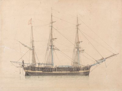 La baleniera "Truelove" di Hull da William Ward