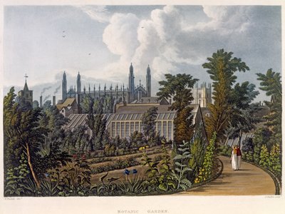 I Giardini Botanici, Cambridge, da 