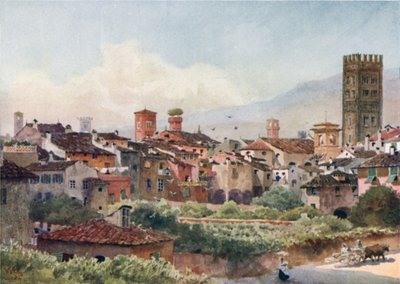 Lucca. Dalle mura della città da William Wiehe Collins