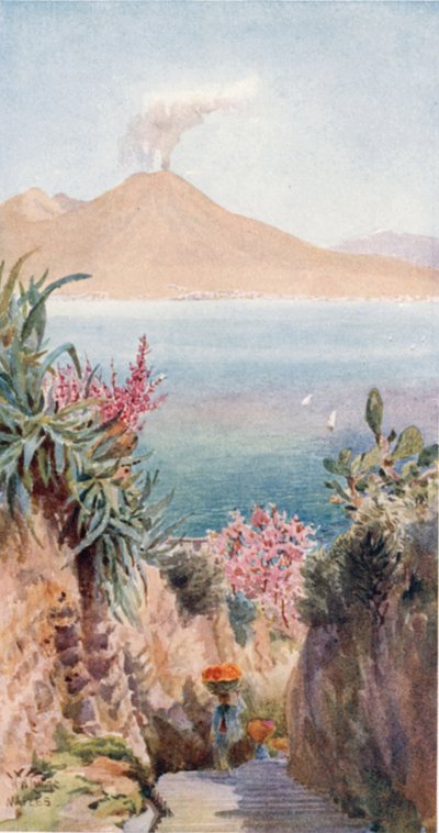 Posillipo. La Baia di Napoli da William Wiehe Collins