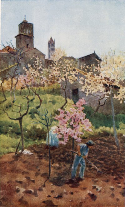 Siena. Sotto le mura da William Wiehe Collins