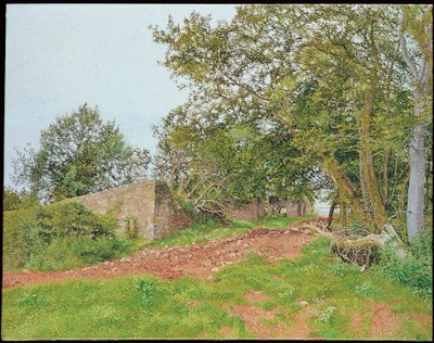 Caedenardd da William Wilkins