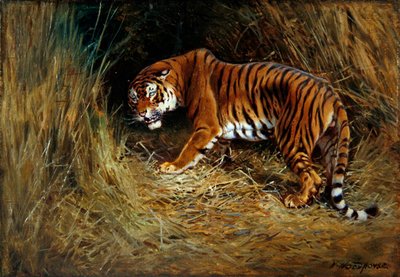 Una tigre in agguato da William Woodhouse