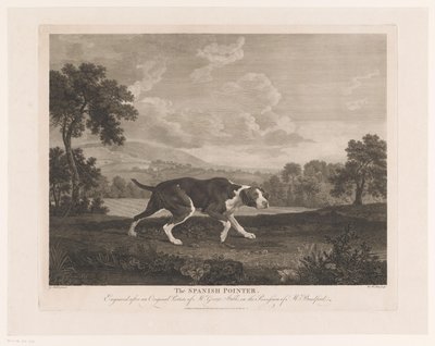 Pointer spagnolo in un paesaggio da William Woollett