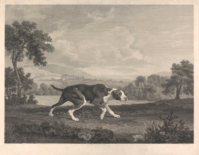 Il puntatore spagnolo da William Woollett