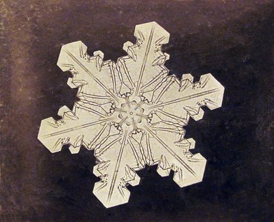 Studio di un fiocco di neve da Wilson A. Bentley