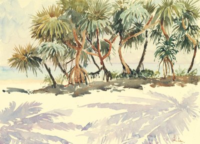 735 Alberi di paglia, Bentota da Wilson Clive