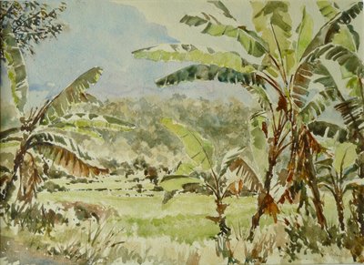 740 alberi di banana, Ramboda da Wilson Clive