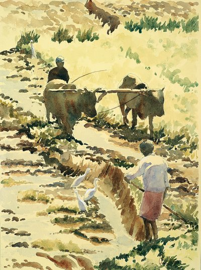 753 Preparazione del campo di riso da Wilson Clive