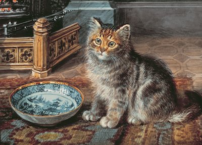 Aspettativa, 1919 da Wilson Hepple