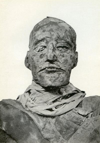 Testa della mummia di Ramesse III, faraone egizio della XX dinastia, c1156 a.C. 1926 da Winifred Mabel Brunton