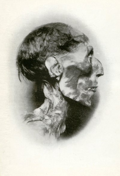 Testa della mummia di Ramesse II, antico faraone egizio della XIX dinastia, c1212 a.C. 1926 da Winifred Mabel Brunton