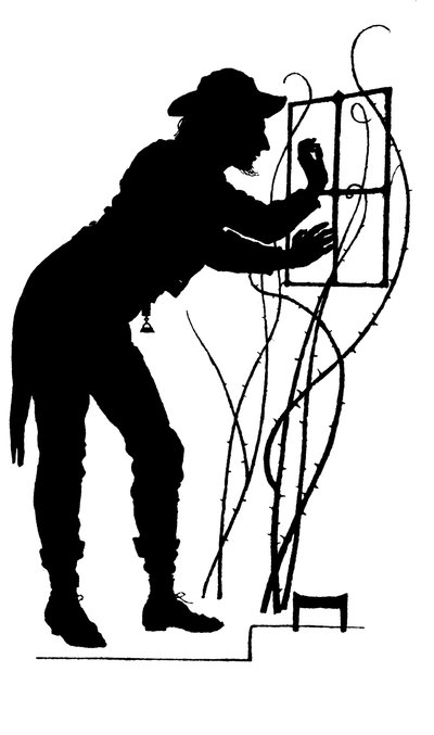 Illustrazione per The Courtin