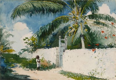Un giardino a Nassau da Winslow Homer