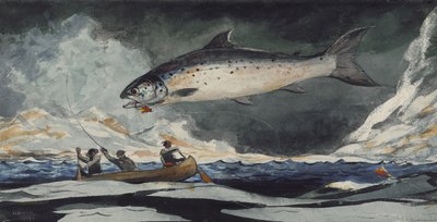 Una buona piscina, fiume Saguenay da Winslow Homer