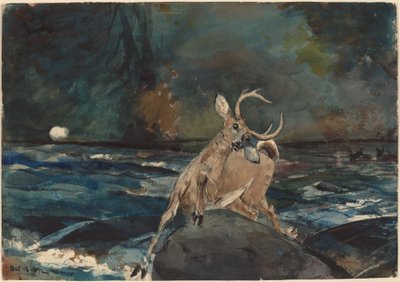 Un buon colpo, Adirondacks da Winslow Homer