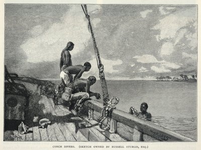 Un uragano, la coltivazione della canapa sull